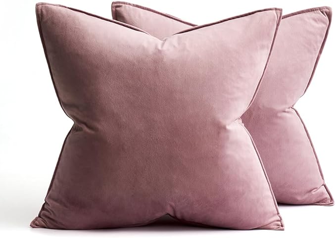 MIULEE Jam Velvet Throw Pillow Covers 20x20 Soft Decorative Solid Square Cushion Cases Pack of 2 Modern Luxury Home Decor for Couch, Sofa, Bedroom
