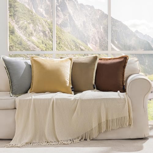 Phantoscope Pack of 2 Velvet Decorative Throw Pillow Covers, Double-Sided Tassel Trimmed Design, Soft Luxury Velvet Pillows Square Cushion Case for Couch Sofa Bed, Beige, 18 x 18 inches 45 x 45 cm - color: Beige/Cream