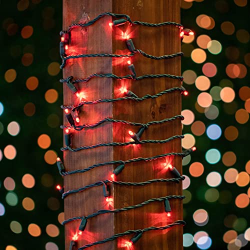 Novelty Lights 25ft 50 LED Red Christmas Lights Outdoor/Indoor, 6" Spacing, Green Wire String Lights for Festive Xmas Lighting, IP55, UL Listed, Dimmable, Connectable - color: Red