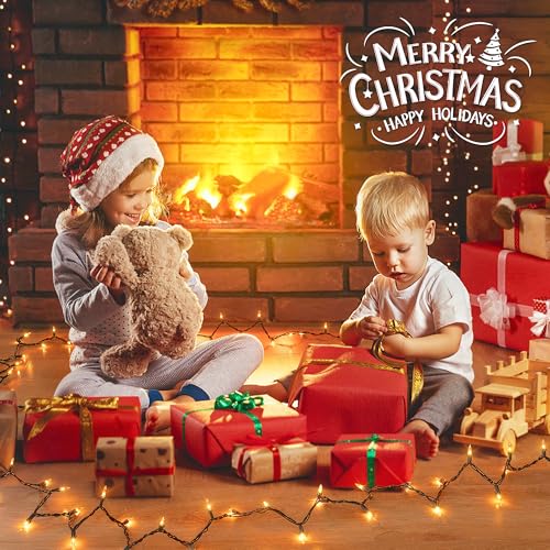 YOUNGAR Christmas Lights, Clear Outdoor Lights,2 Pack 23FT 100 Green Wire Light Connectable Incandescent Mini Light, Approved Tree Lights for Xmas Home Patio Holiday Party Garden Decor(Warm White) - color: Warm White, Green Wire, size: 100 Count 2Pack