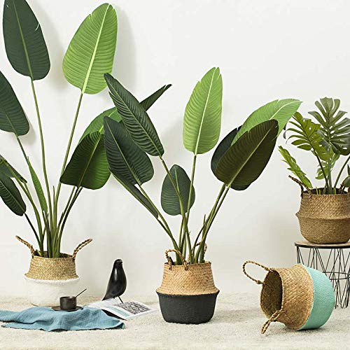 Seagrass Plant Basket with Handles Natural Woven Storage Baskets (Black 9 inch D x 11 inch H) - color: Black, size: L(9.5" D x 11" H)