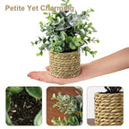 Small Fake Potted Plants: 9 Inches Artificial Plants with Seagrass Handwoven Planters, Indoor Farmhouse Decorations, Eucalyptus Plant for Home Bathroom Office Shelf Tabletop Desk Room Decor