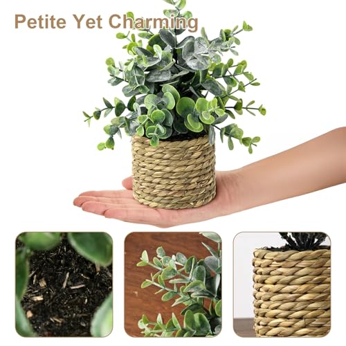 Small Fake Potted Plants: 9 Inches Artificial Plants with Seagrass Handwoven Planters, Indoor Farmhouse Decorations, Eucalyptus Plant for Home Bathroom Office Shelf Tabletop Desk Room Decor