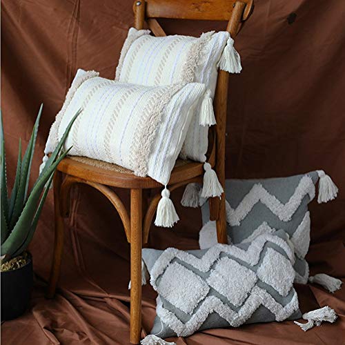 LEVINIS Grey and White Throw Pillow Covers with Tufted Tassel 18 x 18 Inch, Decorative Woven Bohemian Decor Pillow Cases, Cotton Cushion Cover for Couch, Sofa, Bed, Party, Car, Office - color: Grey White, size: 18" x 18" (Pack of 1)