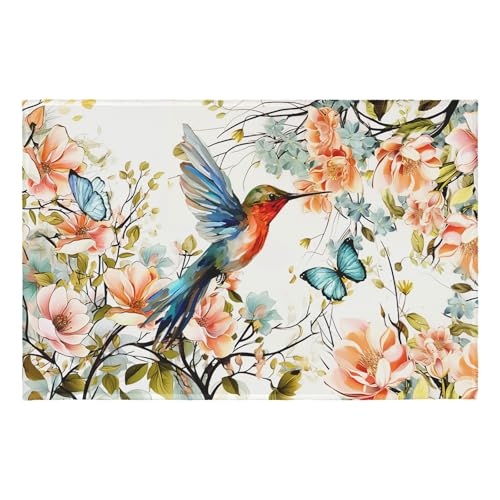 Spring Flowers Bird Area Rug 2x3 Summer Floral Hummingbird Butterfly Entry Rug Small Non-Slip Low Pile Porch Front Door Throw Rugs Entryway Carpet for Living Room Bedroom Holiday Decor - color: Flowers Hummingbird