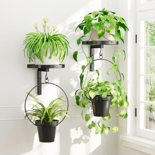 iDavosic.ly Wall Plant Holder Set of 2 for Outdoor with 2 Hanging Planters, Metal Hanger with 2 Hooks, Floating Flower Display Stand for Window, Space Saving & Easy to Assemble - color: Black with 2 Pots, size: 2 Pack