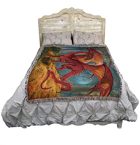 Pure Country Weavers Kwint Xent Dragon Blanket by Ciruelo - Gift Fantasy Tapestry Throw Woven from Cotton - Made in the USA (72x54) - color: Kwint Xent