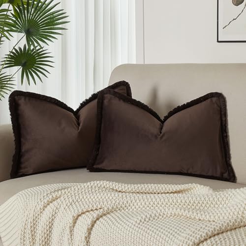 JUSPURBET Pack of 2 Coffee Decorative Fringe Velvet Throw Pillow Covers 16x24 for Home Decor Living Room Bedroom Car Boho Soft Cushion Cover with Hidden Zipper Machine Washable - color: Coffee, size: 24" x 16" (Pack of 2)