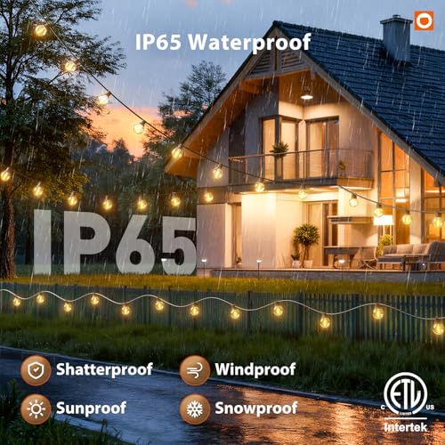 addlon Outdoor String Lights 100FT G40 with APP Control, 54 LED Shatterproof Bulbs, Dimmable Patio Globe Lights Waterproof, Hanging Outside Lighting for Backyard, Garden, Deck, Balcony, Café - size: 100FT(Smart)