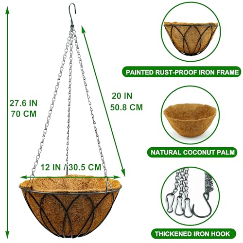 HOSY 2-Pack 12-in Hanging Metal Planter Baskets with Coconut Fibre Liner | Round Wire Planter, Black, Openwork Petal-Shaped Design, 12-in Diameter, Includes Chain & Hook, Tool-Free Hanging Setup - color: Petals - Black