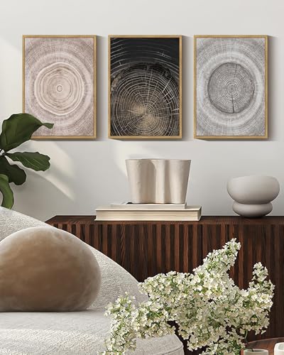 PHOPAGO Vintage Wood Tree Rings Wall Art Farmhouse Rustic Framed Canvas Paintings Living Room Bedroom Decor Nature Artwork 11x14in Natural Framed - color: Tree Grain Ring, size: 11" x 14" x 3 Pcs Natural