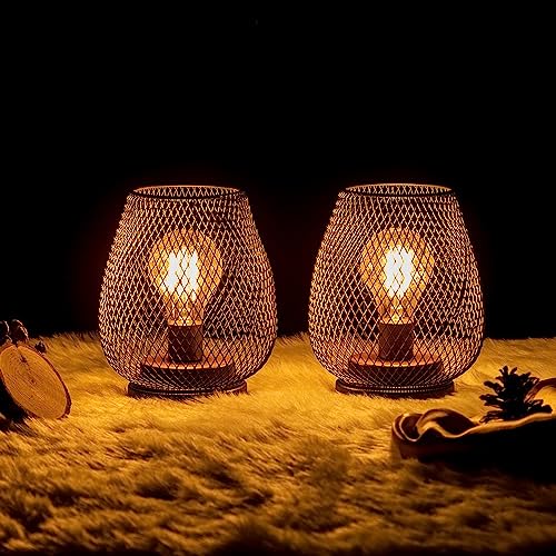 Set of 2 Battery Operated Lamp LED Table Lantern, Brown Metal Cage Cordless Lamps with LED Bulb，Vintage Decorative Outdoor Lantern for Weddings, Parties, Patio, Events for Indoors Shelf Decor - style: Bronze Egg / Timer