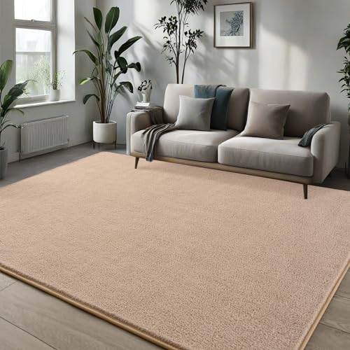 Pettop 4x6 ft Beige Area Rugs for Bedroom Living Room, Washable Memory Foam Indoor Carpet, Modern Aesthetic Minimalist Non Slip Soft Comfy Carpet for Boys Girls Dorm Home Decor - color: Beige, size: 4' X 6' (Rectangular)
