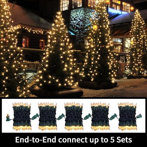LAMPHOME 100 Count Clear Christmas Lights - 20 ft Ultra Bright White String Lights with Green Wire for Indoor and Outdoor Use, Christmas Trees, Holidays Party Patio Wedding and Garden - color: Clear