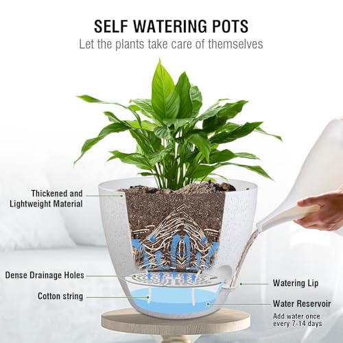 Meowell 10 inch Self Watering Hanging Planters, 2 Pack Hanging Baskets for Indoor Outdoor Plants, Hanging Flower Pots with Drainage Holes and 2 Kinds of Plant Hangers for Garden Decor, Speckled White - color: White With Black Speckles