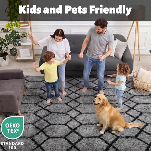 ONASAR Area Rugs for Bedroom Living Room, Fluffy 4x6 Grey and Black Bedside Rug for Nursery Kids Teen Dorm, Soft Shaggy Geometric Plush Fuzzy Indoor Floor Carpet for Home Decor Aesthetic - color: 1- Grey / Black, size: 4' x 6' (Rectangular)