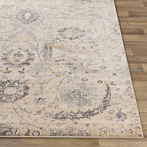 Hauteloom Obsidian Rustic Farmhouse Traditional Floral Medallion Carpet for Living Room - Boho Vintage Oriental Damask Area Rug - Blue Gray, Terracotta, Beige, Cream, Black - 5'3" x 7'3" (5x7) - color: Beige, Black, Charcoal / Sunnyside, size: 5'1" x 7'3"
