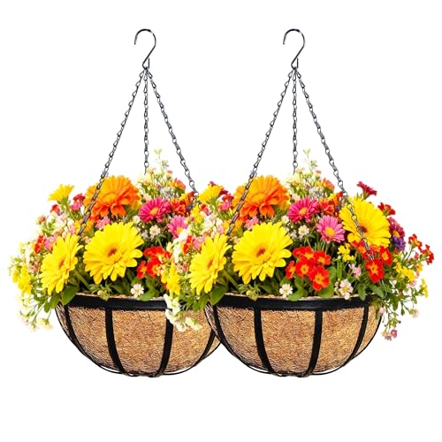 2 Pack 12 Inch Black Metal Hanging Basket Hanging Planter with Coco Coir Liner Heavy Duty Hanging Flower Pot Holder for Indoor Outdoor Patio Garden Porch Balcony Decor (Flat Iron) - color: Flat Iron