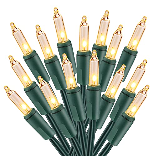 Brizled Warm White Clear Christmas Lights Connectable, 21FT 100 Count Mini Incandescent String Lights Plug in, Waterproof Xmas Tree Lights Green Wire for Indoor Outdoor Home Party Garden Yard Decor - color: Warm White - 100CT