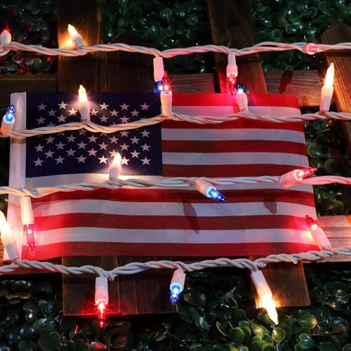 LAMPHOME 100 Count Red White and Blue Mini String Lights with White Wire,Connectable 19.6ft 120V Waterproof 4th of July Patriotic Incandescent Lights, Independence Day Lights for Outdoor Indoor Decor - color: Red White Blue