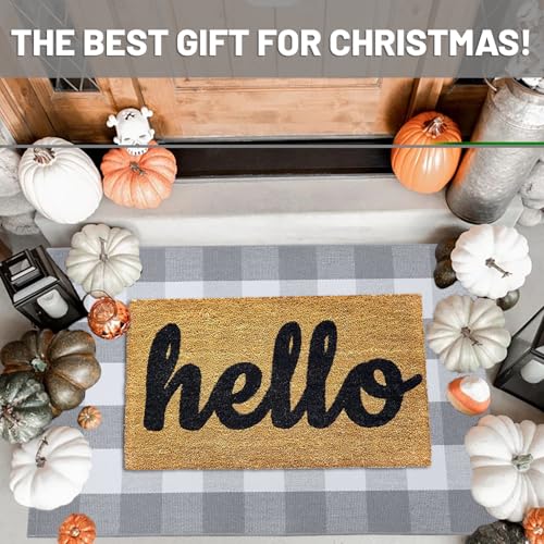IOHOUZE Buffalo Plaid Checkered Rug 27.5" X 43" Front Door Mats, Washable Area Rugs for Front Porch Decor, Spring Summer Welcome Mats Outdoor, Gray White Rug for Farmhouse/Entryway/Home Entrance - color: Grey and White, size: 2'4" x 3'8" (Rectangular)