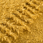 Winter Knit Throw Blanket Fluffy Fuzzy Soft Lightweight Cozy Farmhouse Tassels Chunky Knitted Throws for Couch Sofa Bed (Mustard Yellow, 50"x60") - color: Mustard Yellow, size: 50"x60"