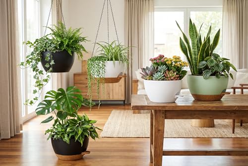 Hanging Planters, 3-Pack 10 Inch Self-Watering Pots with Drainage Holes and Chains, Matte Plastic Planters for Indoor/Outdoor Plant（Black） - color: Black, size: 10 inches