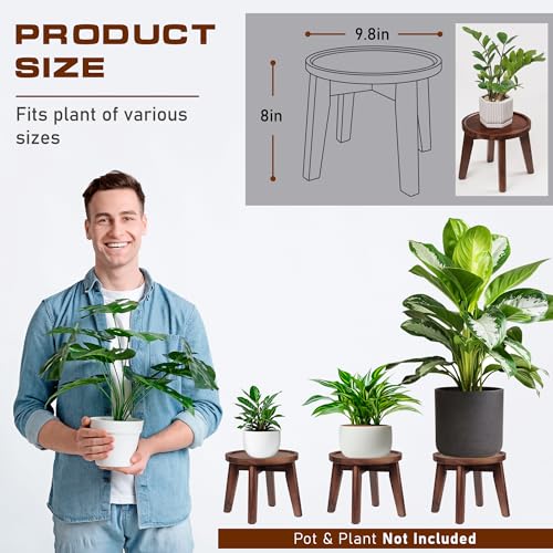 Demigo Indoor Plant Stand, Acacia Wooden Decorative Plant Shelf with Spill-Proof Tray, Stable 8” Tall Flower Holder for Heavy Pots, Gardening Display for Decor Living Room Patio - Dark Brown - color: Dark Brown, size: Medium