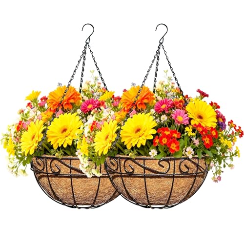 2 Pack 12 Inch Black Metal Hanging Basket Hanging Planter with Coco Coir Liner Heavy Duty Hanging Flower Pot Holder for Indoor Outdoor Patio Garden Porch Balcony Decor (Lace) - color: Lace