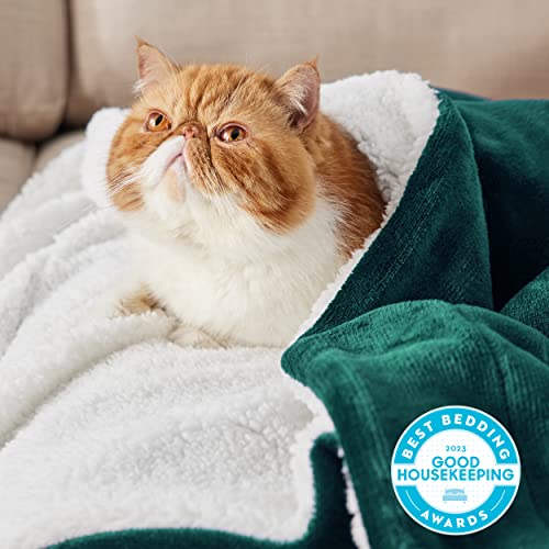 Bedsure GentleSoft Sherpa Fleece Throw Blanket for Couch, Non-Heated, Thick and Warm Throw for Women and Men, Soft Fuzzy Plush Blanket for Winter, Room Home Decor Gifts, Forest Green, 50x60 Inches - color: 04 - Forest Green, size: Throw (50" X 60")