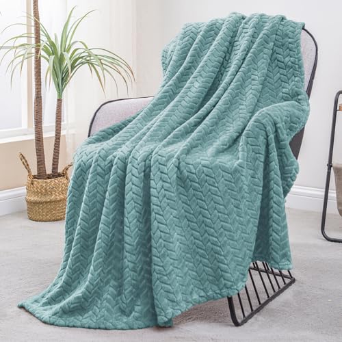 Exclusivo Mezcla Fleece Throw Blanket for Couch and Bed, 50x70 Inches Soft Cozy Jacquard Flannel Blankets, Lightweight Fuzzy Plush Throws for Women, Celadon - color: Celadon, size: Throw ( 50x70 IN )