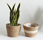 Seagrass Planter Basket Set With Plastic Lining Woven Storage Basket 7x6 In Indoor And Outdoor Plant Flowerpot Baskets Are Very Suitable For Flowerpot Covers. Natural Plant Containers (Small)