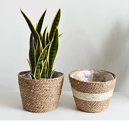 Seagrass Planter Basket Set With Plastic Lining Woven Storage Basket 7x6 In Indoor And Outdoor Plant Flowerpot Baskets Are Very Suitable For Flowerpot Covers. Natural Plant Containers (Small)