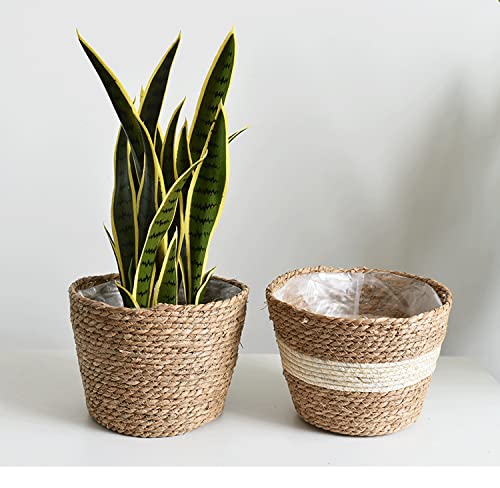 Seagrass Planter Basket Set With Plastic Lining Woven Storage Basket 7x6 In Indoor And Outdoor Plant Flowerpot Baskets Are Very Suitable For Flowerpot Covers. Natural Plant Containers (Small) - color: Small