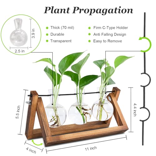 Renmxj Plant Propagation Stations with Wooden Stand & 3 Glass Bulb Vases - Plant Terrarium for Indoor Plants, Home Office Desk Decor, Gardening Gifts for Women Mom, Birthday Gifts for Plants Lovers - size: 3 Bulb Vase