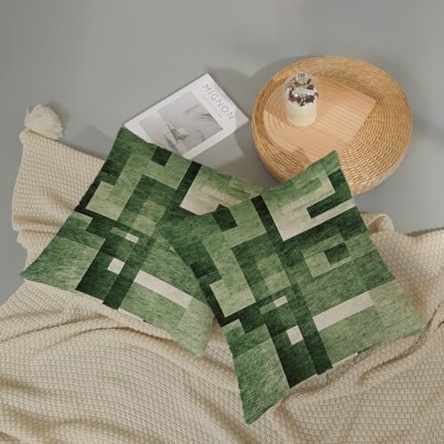 Sage Green Olive White Pillow Covers 20x20, Abstract Art Outdoor Decorative Throw Pillows for Couch, Modern Geometry Decor Cushion Cover 2 Pcs Soft Farmhouse Square Pillowcase for Bed Car Safa - color: Sage Green, size: 20" x 20" (Pack of 2)