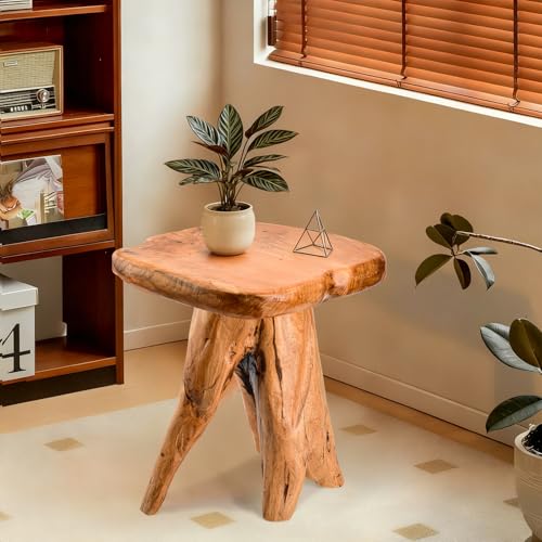 18.9 inch Live Edge Wood Stool, Live Edge Wood Stool, Freeform Mushroom Side Table Natural Plant Stand for Garden, Yard, Living Room, Bedroom - size: 14"D x 13"W x 19"H
