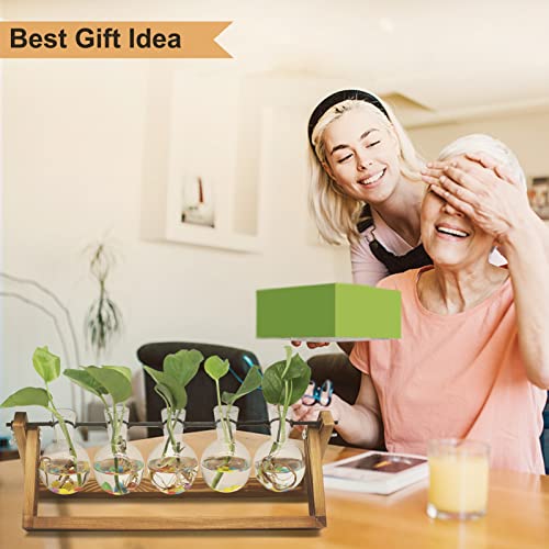 Renmxj Plant Propagation Stations with Wooden Stand & 5 Glass Bulb Vases | Plant Terrarium for Indoor Plants, Home Office Desk Decor, Gardening Gifts for Women Mom, Birthday Gifts for Plants Lovers - size: 5 Bulb Vase