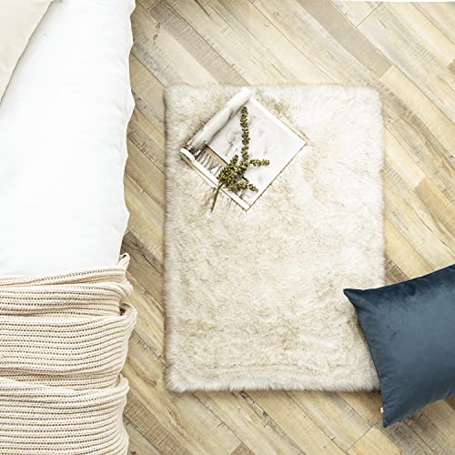 Ashler HOME DECO Soft Fox Faux Fur Chair Couch Cover Area Rug for Bedroom Floor Sofa Living Room White Brown Rectangle 2 x 3 Feet - color: White Brown, size: 2 x 3 ft