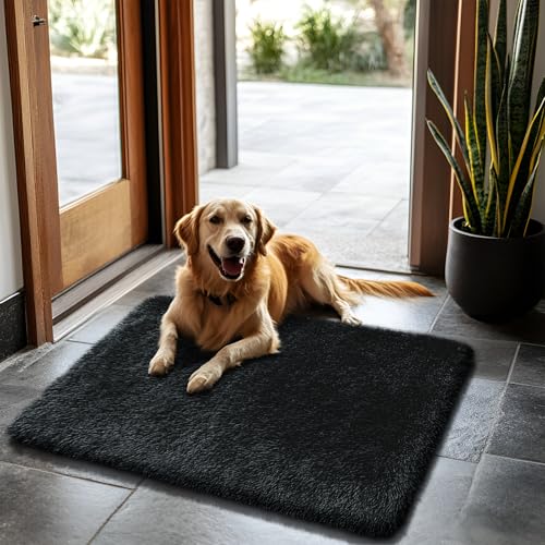 2x3 Fluffy Area Rugs for Bedroom Living Room,Small Soft Shag Fuzzy Rug Non-Shedding Indoor Plush Carpet for Bedroom Dorm Home Decor,Black - color: Black, size: 2' x 3' (Rectangular)