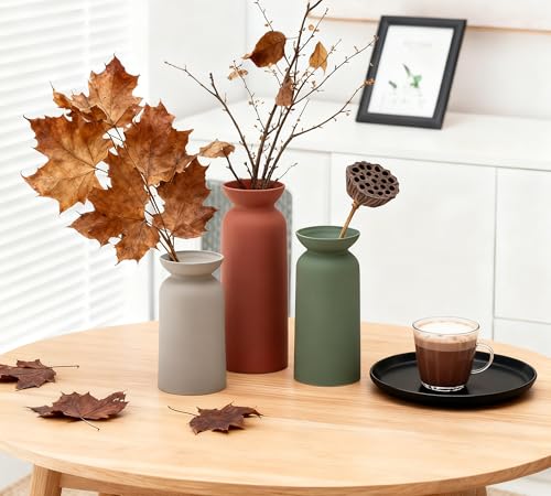 Modern Ceramic Vase Set of 3 Small Flower Vases Boho Farmhouse Style Decorative Vases for Pampas Grass & Dried Flowers Colorful - color: Modern Matte Set-vt12