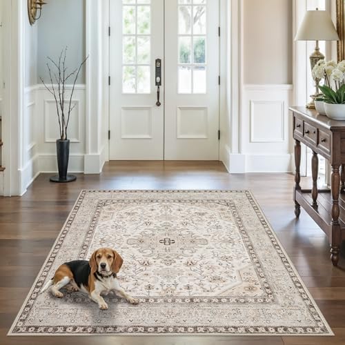 5x5 Rug Square Washable for Entry: Oriental Rugs for Living Room- Ultra Thin Low Pile Stain Resistant Carpet - Home Decor for Vintage Style Lover - 5' Square Ivory - color: Ivory, size: 5' x 5' (Square)