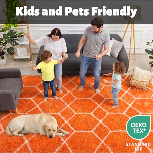 ONASAR Area Rugs for Bedroom Living Room, 4x6 Fluffy Orange and White Throw Rug, Geometric Soft Shaggy Fuzzy Plush Indoor Floor Carpet for Kids Teen Nursery Dorm Office Home Decor Aesthetic - color: Orange / White, size: 4' x 6' (Rectangular)