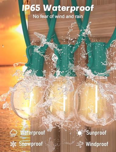 SUNSGNE 25Ft Round Christmas Lights Outdoor, G40 Globe String Lights with 27 LED Clear Lights(2 Spare), Green Wire String Lights for Yard Patio Porch Tent Pergola Backyard Christmas Decorations - color: Warm White-Green, size: 25FT