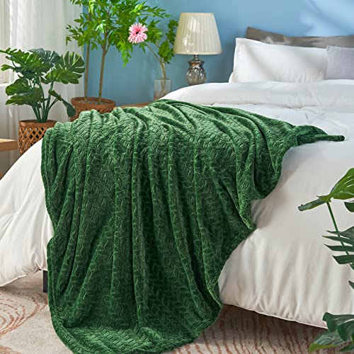 inhand Fleece Queen Blanket for Bed, Super Soft Flannel Cozy Queen Bed Blanket for Adults, Washable Lightweight Fuzzy Bed Blanket for Office, Warm Plush Blankets for All Season (90"×90", Green) - color: A-green, size: Full/Queen-90x90 IN