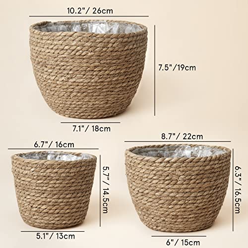La Jolíe Muse Seagrass Planter Basket Indoor, Flower Pots Cover, Plant Containers, Natural, 3-Pack - color: Brown