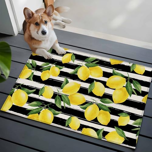 Yellow Lemon 2x3 Small Rug for Entryway Kitchen Front Door, Summer Fruit Black White Striped Country Washable Throw Rug Absorbent Non-Slip Indoor Floor Mat for Kitchen Entrance Dog Home Office Decor - color: Yellow, size: 2' x 3' (Rectangular)