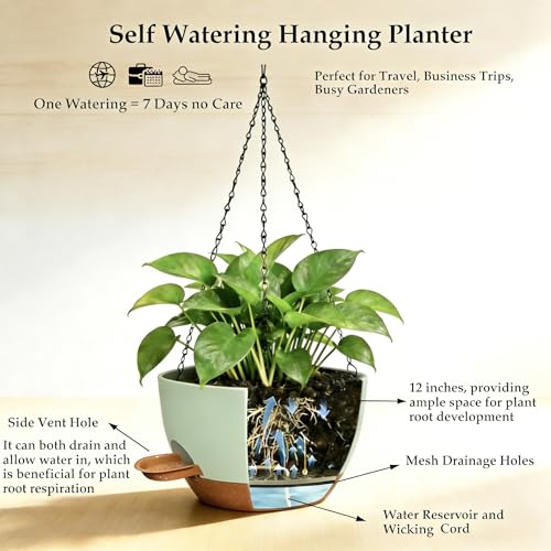 12 Inch Self Watering Hanging Planters 2 Pack, Indoor Outdoor Hanging Pots for Plants with Drainage Holes & Saucers, Green Brown Plastic Hanging Baskets for Kitchen Balcony Garden - color: Green Brown