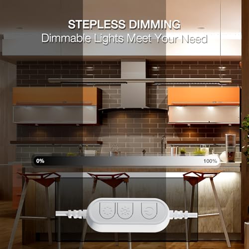 DAYBETTER White LED Strip Lights, 50 ft Dimmable 6500K Bright White Strip Lighting, 900 LEDs Tape LED Lights for Bedroom, Mirror, Kitchen, Home Decoration(2 Rolls of 25 ft) - color: Daylight White, size: 50FT
