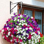 AMAGABELI GARDEN & HOME 4 Pack Hanging Plant Brackets Outdoor 10 inch Metal Fence Wall Plant Hanger Hooks for Hanging Flower Baskets Bird Feeders Lanterns Wind Chimes Rust-Resistant Black - size: 10 Inch, style: 4-Pack Twist Hook 2